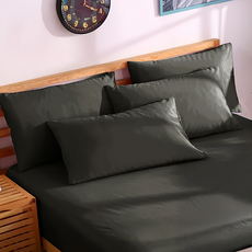 LoveCity 寢城之戀 台灣製 吸濕排汗透氣網眼 100%防水保潔枕套 2個