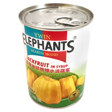 TWIN ELEPHANTS 雙象地球牌 糖水波羅蜜 無添加防腐劑, 565g, 1罐