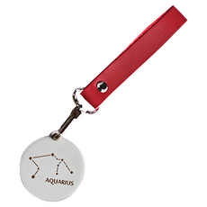 OPUS 東齊金工 貓咪變身水瓶座 不鏽鋼鑰匙圈吊飾 KE-st02 鎖烤漆材質, 紅色, 1個