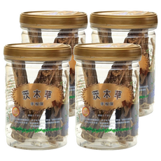 CatFeet 茨木草 木天蓼手榴彈 Set 3個, 木天蓼, 4罐