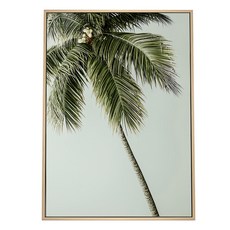 BOLUO GALLERY 菠蘿選畫所 慵懶的棕櫚 BFPA4602D, 護生草花譜 綠色