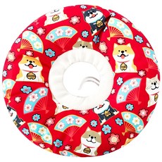 伊莉莎白圈太陽花, 紅色柴犬, 1個