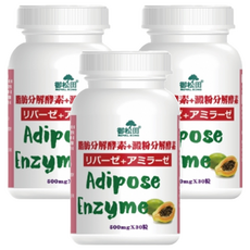 ROYAL SONG 御松田 脂肪分解酵素 + 澱粉分解酵素, 30顆, 500mg, 3罐