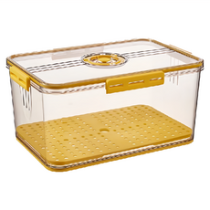 拍平方 雞蛋蔬果保鮮盒 加大, 黃色 PET材質 4.8L, 1個