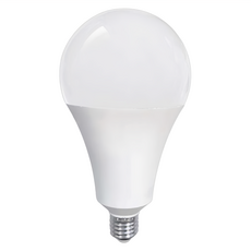 EVERLIGHT 億光 超節能高亮度 LED 燈泡，顯色穩定 色彩準確 無色偏，節能標章認證 無藍光危害, 黃光, 1個