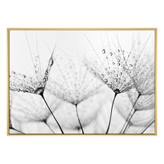 雨過天晴 蒲公英藝術畫, 木色