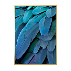 層疊的藍, 金框