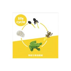 Pokiz 生態遊戲系列, 青蛙生態, 1組