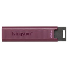 Kingston 金士頓 DataTraveler Max Type-A USB 3.2 Gen 2 隨身碟 DTMAXA, 256GB, 1個