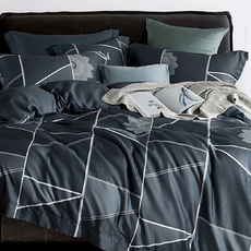 貝淇小舖 60支100%純天絲TENCEL 床包枕套三件組