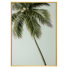 Boluo 菠蘿選畫所 掛畫, 40 x 30cm, 慵懶的棕櫚 綠色