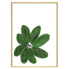 BOLUO GALLERY 菠蘿選畫所 植栽生活 闊葉 BFWP4605D, 木色