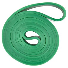 LifeHouse TPE阻力帶 專業款 綠色, 1條