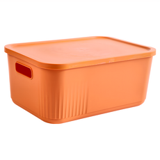 dayneeds 日需百備 Q萌撞色系附蓋收納盒 四色可選 整理盒 雜物盒 零食盒 SN10-XL-OG3 XL, 橙色, 3個