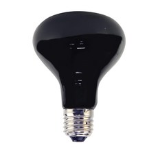 ISTA 伊士達 爬蟲月光保溫燈泡 25W/50W, 單色, 1個