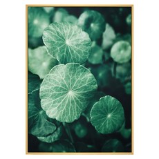 BOLUO GALLERY 菠蘿選畫所 圓圓熱帶植趣 BFLE4619D 掛畫, 木色