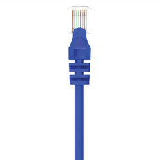 POLYWELL CAT6 高速網路線 RJ45 福祿克認證 PW15-W58-C003, 30cm, 藍色, 1條