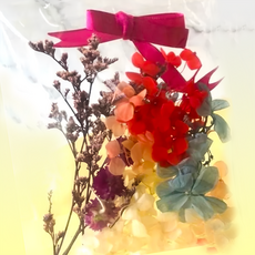 A-ONE 匯旺 浮游花DIY花材包，天然植物乾燥花, 絢麗紅舞
