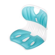 The One 花瓣美姿護腰美臀坐墊, 藍綠色