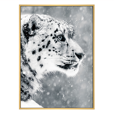 堅持 雪豹 NSL 裝飾畫, 40 x 30cm, 木色