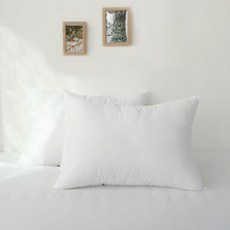 拉鍊式雲朵枕芯, 2個, 單色