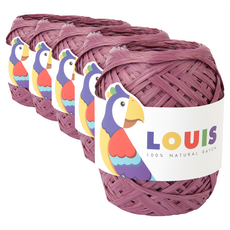 LOUIS 嫘縈編織線 Set 5捲 45克, 120 荔枝色