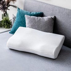 HOLA 和樂家居 防螨抗菌記憶枕, 正側兩用型 白色, 1個