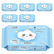 拭拭樂 濕拭衛生紙 含抗菌銀離子Ag+ 可水分解, 1入, 6包