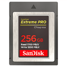 SanDisk 晟碟 Extreme PRO CFexpress Type B 記憶卡, 256GB, 1個