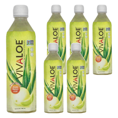 VIVALOE 纖薈 哈密瓜蘆薈風味飲, 500ml, 6瓶