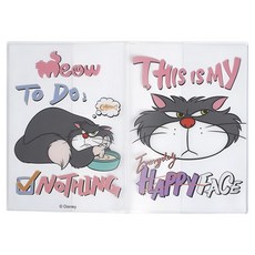 Cinderella 仙履奇緣 迪士尼兩用護照疫苗卡套