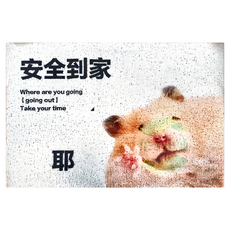 迷因絲圈臥室地墊 PVC材質, 60 x 40cm, F款 安全到家