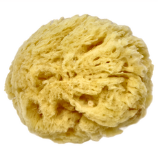 希臘海綿 CO445 粗質 4.5-5吋 2入，天然海綿，吸收畫筆多餘水分, 1組