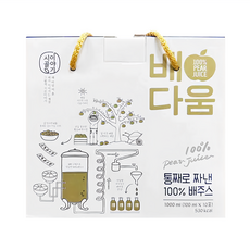 鄉村故事 水梨汁禮盒組, 100%水梨原汁 100ml x 10包, 1L, 1盒