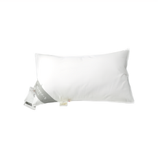 理享家 日本伊豆飯店指定枕頭 好好睡枕芯 羽絨枕頭, 60 x 33 x 12cm, 舒適支撐, 白色, 1個