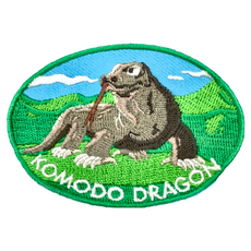 A-ONE 匯旺 印尼 科摩多巨蜥 造型刺繡, 多色, 1個