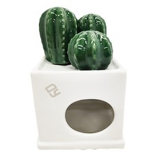 Canary 仙人沙漠造景陶瓷窩, 仙人沙漠造景, 1個