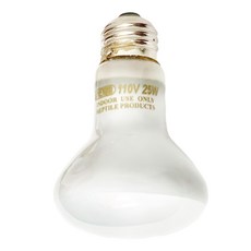 ISTA 伊士達 爬蟲聚熱燈泡 75W, 白色, 1個