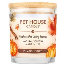 PET HOUSE室內除臭寵物香氛蠟燭，南瓜肉桂，天然大豆蠟，美國製造, 255g, 1罐