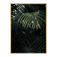 BOLUO GALLERY 菠蘿選畫所 熱帶叢林, 42 x 59.4cm, 木色