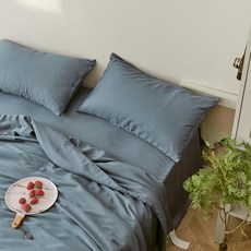 BELLE VIE 60支奧地利蘭精天絲枕頭套 2件/組