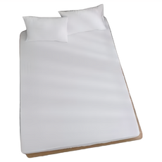 ISHUR 伊舒爾 3M銀離子防水保潔墊 3件組, 加大6尺(188 x 182cm 枕套76 x 46cm), 白色