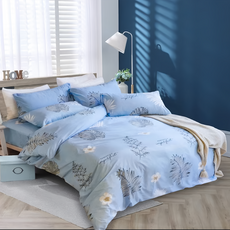 Blue Cat 藍貓 銀離子抗菌兩用被套, 春曉