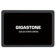 GIGASTONE 立達 2.5吋固態硬碟 SSD, Black, 1TB
