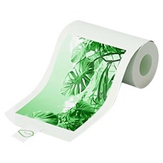 eSOONKids 顯色熱感紙 兒童相機紙捲 綠色, 3捲