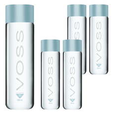 VOSS 芙絲 挪威天然礦泉水 PET瓶裝 500ml, 5瓶