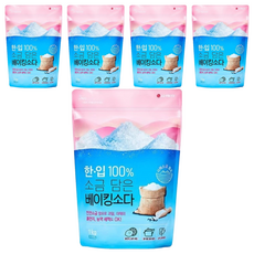 LG 生活健康 含鹽萬用小蘇打粉 1kg, 5包