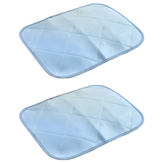 Betrise 貝翠絲 日系涼感紗輕薄型凝膠墊系列 枕墊 2個, 藍色, 涼感墊