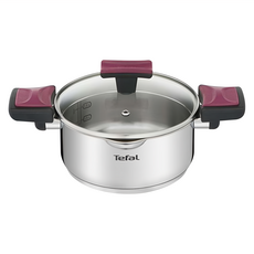 Tefal 特福 法國特福香頌不鏽鋼系列 雙耳湯鍋 附鍋蓋, 20cm, 銀色, 1組