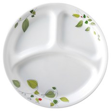 Corelle Brands 康寧餐具 綠野微風 分隔盤 10吋, 白色, 1個